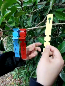 JIRIFARM - Plant Label Name Tag - Label Penanda Tanaman Model Collar Slip On - Kalung 2x21 cm 20Pcs