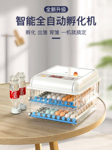 Smart Automatic Incubator Small Home Use Egg Hatcher for Quails Ducks Geese Pigeons Chicken Egg Incubation Box