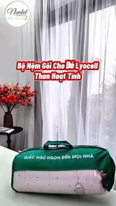🔖SIÊU ĐẸP🔖Bộ Nệm Gối Trẻ Em Đi Học Vải Lyocell Thoáng Mát Mềm Mịn Nệm Gối Nằm Ôm (Kèm Ruột)