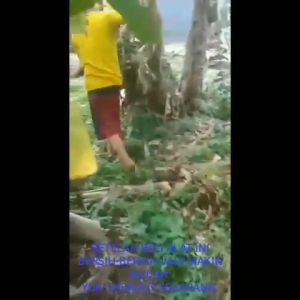 Cangkul mini / Alat Pembersih Rumput Dan Sampah / Cangkul Dan Garukan Alat Berkebun Pembasmi Rumput Liar