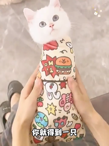 [SG Ready Stock] Multi Functional Cat Wrap Multi-functional cosmetic bag Cloth Anti Scratch and Anti Run Cat Fixed Wrap Cat Wrap Cloth Bag Cat Fixed Towel Blanket Pet Wrap