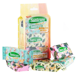 Sanicare Mini Wipes - 6 Packs 48 Sheets