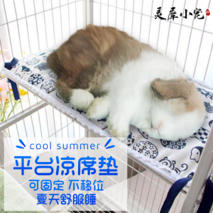 Pet Mat Ice Pad Square Meters Dashboard Cover Rabbit Summer Ice Mat Summer Sleep Cooling Fixed Totoro Guinea Pig Supplies