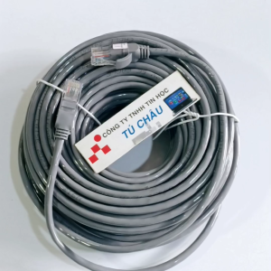 Cáp mạng 20m (Cáp Lan CAT 5E 2 đầu RJ45 đúc)
