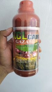 KCL GAZA PLUS 500 ML: Pupuk Booster Bawang Merah Pembesar Umbi & Buah Tanaman Bawang Merah Terbaik