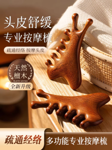 Four-In-One Multi-Functional Scalp Massage Comb Facial Lifting Gua Sha Board Meridian Massage Tool Portable Personal Care