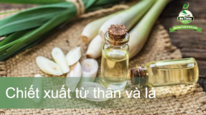 Tinh Dầu Sả Chanh nguyên chất An Thiên (Lọ 15ml) - Lemongrass essential oil