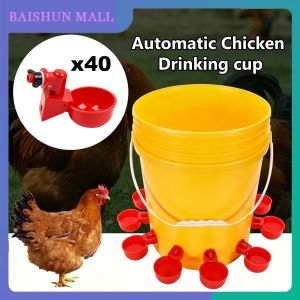 40Pcs Automatic Water drinker cup Bird feeder bowl Drinking cup for chicken pigeon quail Bird accessories