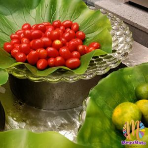 ใบบัวปลอม ใบบัวพลาสติก สําหรับรองอาหารคาว หวาน หรือตกแต่งอ่างปลา Home Decor