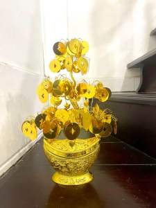Cây kim tiền Hoa để bàn thờ cao 35 ngang 20cm