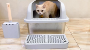 （SG STOCKS）Stainless Steel Cat Litter Box Pet Litter Box with Scoop large capacity Heighten litter box set