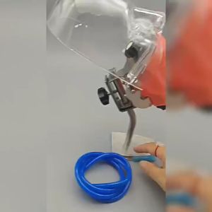 1Set Model Studi Gigi Tahan Lama Gigi Model Adjustable Dental Study Model Gigi Untuk Dental Model Study Training Practice