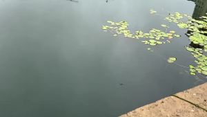 Weihe FISHING | Mồi Câu Mực Giả Mềm WEIHE 1 Cái 20cm 130g C #   Mồi Câu Mềm Hình Bạch Tuộc Phát Sáng UV 5 Màu Sắc