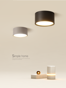 Sleek Modern LED Ceiling Lamp