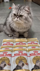 Royal Canin Persian Adult Wet Cat Food 85g Loaf Meat Pouch - Feline Breed Nutrition Tailored for Adult Persian Cats Supports Healthy Skin Shiny Coat and Digestive Health [New Stock]
