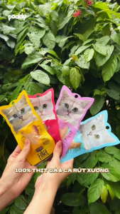 Bánh Thưởng Cho Mèo Kit Cat Phi Lê Gà & Cá Ngừa Búi Lông 30g