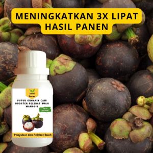 Pupuk Manggis Cepat Berbuah / Pupuk Pelebat Buah Manggis / Pupuk Booster Manggis Cair
