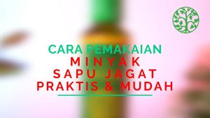Minyak Urut Minyak Balur Bantu Atasi Nyeri Otot Nyeri Sendi Pegal Linu dan Pegal - Pegal Dengan Minyak Sapu Jagat