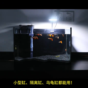 Aquarium clip on LED Light lampu aquarium kecil clamp clip led aquarium light