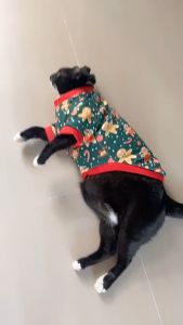 ส่งจาก Meowhouse เสื้อผ้า พิมพ์ลายน่ารัก สำหรับสัตว์เลี้ย สูง สุนัข แมว สไตล์คริสต์มาส