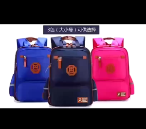 Ergonomic Waterproof Kids School Bag Large Capacity and Reflective Strips Children’s School Backpack Spine Protection Load Reduction Primary School student Bag Backpack