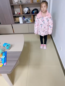 ของเล่นงูปลอม เเกล้งเพื่อน กระป๋องมันฝรั่งทอด  Fake snake toy prank your friends potato chip tin snake.