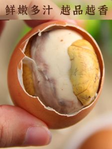 Five-Spice Fresh Chicken Embryo Egg Ready-To-Eat Phoenix Egg Delicious for 13 Days Snack/Nuts/Local Specialties>Beef Jerky/Pork /Homemade Chicken Snacks