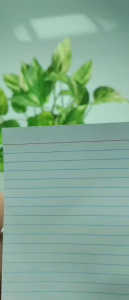 Merit Index Card With top & bottom horizontal dotted lines 3x5 4x6 5x8 Pack by100s & 25s
