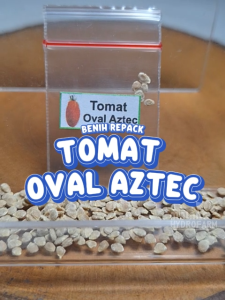 Benih Tomat Oval Aztec Unggulan Berkualitas biji bibit repack tomato merah red lonjong kecil hydroponik hidroponik tanaman sayur buah pot