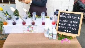 Nước nhuộm hoa tươi đổi màu hồng phấn  theo công nghê Israel (Chai 1L nhuộm hơn 250 bông) tặng kèm dưỡng hoa tươi lâu