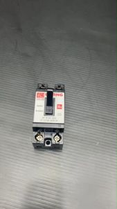 เบรกเกอร์ 2P CHANG safety breaker 10A15A20A 30A ราคาต่อ 10 อัน