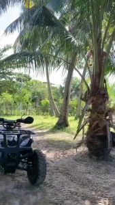 【Buy 1 Take 2】250ml LBLS Niacinamide Lotion And 2 Prestige Niacinamide 10x Whitening Soaps For All Skin Types