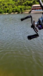 Kingdom WASP Umpan Pancing 40mm 4.2g 6.6g Mengapung Topwater Umpan Buatan Serangga Mengambang Bionik Umpan Pancing Swimbaits Umpan Keras Bass Ikan Mas Pike