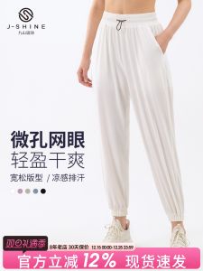Loose Womens Yoga Sports Pants High Waist Nylon Quick Dry Breathable UV Protection Thin Autumn Winter Fitness Casual Trousers