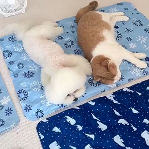 HATELI Mùa Hè Thú Cưng Đá Đệm Chó Thảm Mát Mèo Làm Mát Nhiệt Chống Ngủ Giường Đá Miếng Lót Chó Làm Mát Đệm