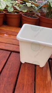 WHITE BLACK 万象盆 SUCCULENT CACTUS   flower pot  thick pot SQUARE PLASTIC POT PASU MINI PLASTIK 彩色四方盆 多肉盆 仙人掌盆 彩色盆 小盆 盆