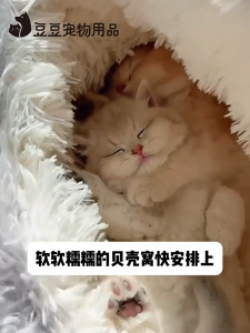 เตียงนอนสัตว์เลี้ยง เตียงนอนแมว บ้านแมว เตียงนอนสัตว์เลี้ยง เตียงนอนสุนัขขนาดใหญ่ ของใช้แมว เตียงนอนถ้ำ เต็นท์สัตว์เลี้ยง