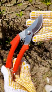 Kéo Cắt Cành D20cm Thép Không Gỉ Siêu Bén Có Khoá An Toàn Cắt Được Cành To | SK-1