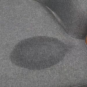 WLWE Foam Penghilang Noda / Pembersih Sofa Tanpa Air / All Purpose Cleaner Pembersih Sofa Tanpa Cuci / Pembersih Jaket /SH O14