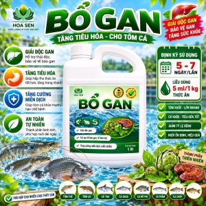 BỔ GAN 1L– Giải Độc Gan Thận Tăng Đề Kháng Giúp Tôm Cá Khỏe Mạnh | Chai 1L