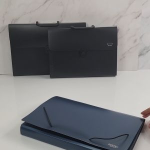 [SG Stock] CENTRE Accordion File Organizer | Expanding File Folder | 13 Pockets File Holder Organizer with & without handle | A4/ F4 Size Paper