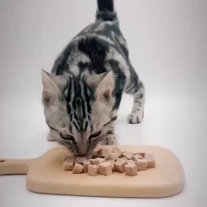 100% CHXM ขนมแมว อกไก่อบแห้งแช่แข็ง เกรดอาหารคน บำรุงขน ขนมแมวไม่เค็ม ขนมแมวฟรีซดราย แมว