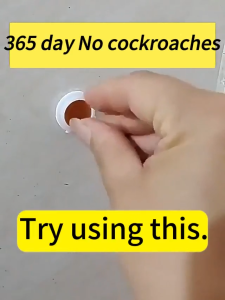 Ant Killer Gel Bait for Home Use - 8 Pcs Advanced Gel Bait for Ants and Effective on Termites. Kills the Entire Colony. Safe & Non-Toxic Formula Child & Pet Friendly. Easy to Use Indoor Outdoor Pest Control.