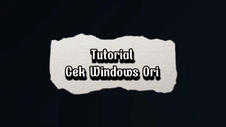 Win 11 Home Original Licence Key RETAIL / OEM Permanen Microsoft Windows Genuine Lifetime
