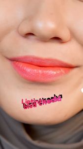 SR12 Lip Tint 2gr