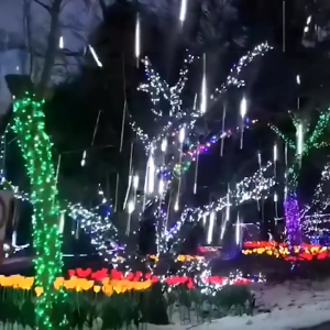 🚀LOCAL SELLER🚀Solar Meteor Shower Light Garden Rain light 8Modes Festival Outdoor Waterproof Holiday Street Tree Decoration Light