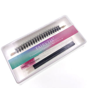 FAIRYTIS 0.07mm D Curl Premade Fans Volume Russian Lashes 600 Fans 5D/6D/8D/10D Eyelashes Extension Free Brushes Glue Holder