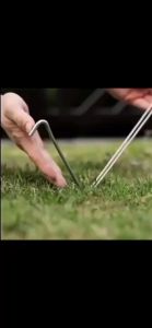 Tent Peg Pancang Camping Peg Paku Khemah Nail Paku Camping Paku Camping Tent Nail Peg Ground Nail Flysheet 天幕地钉 Pancang Khemah Pasak Khemah Paku Khemah Paku Pantai