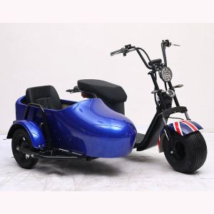 XE ĐIỆN BA BÁNH HARLEY