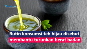 teh hijau original tazakka untuk diet pelangsing alami detok tanpa efek samping 20kantong